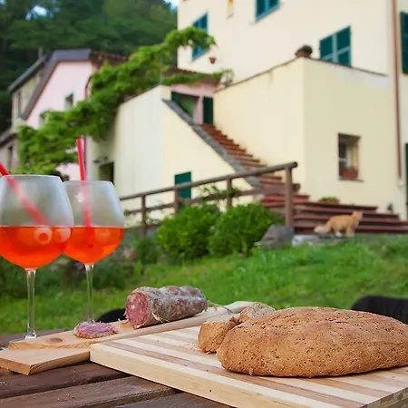 Ca Di Gatti Guest house Ne