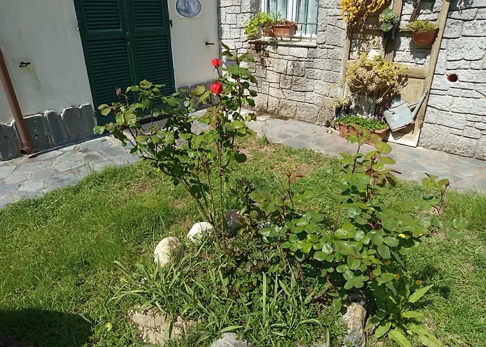 Ca Di Gatti Pensión 3*