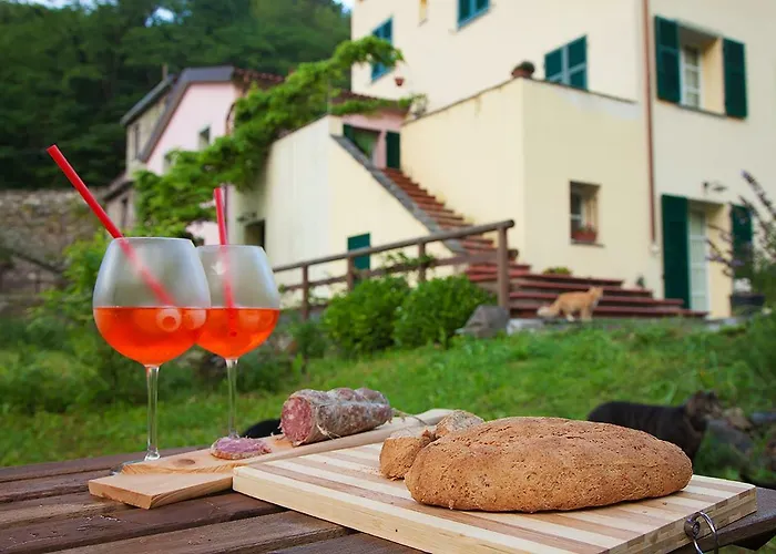 Ca Di Gatti Pensión Ne